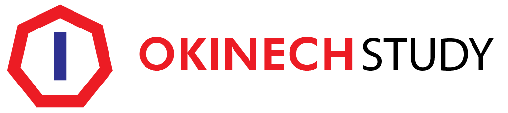 OKINECH IT ACADEMY